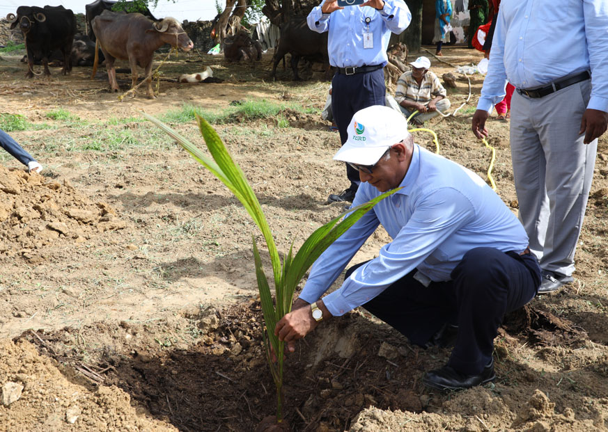 70,000+ trees in 1 hour: Tata Chemicals sets a goal to preserve the environment