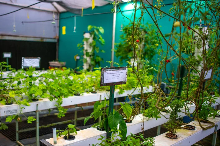 Stepping up sustainability commitment
