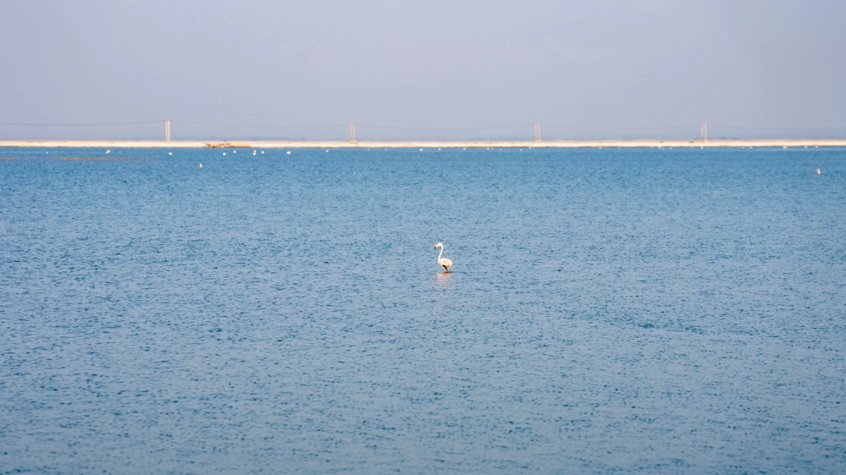 https://www.tatachemicals.com/tata/sites/default/files/2025-01/freshwater.webp
