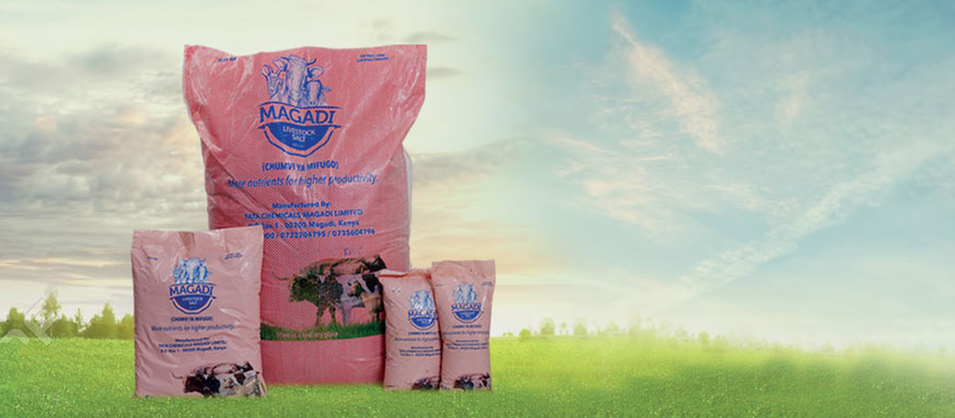Livestock salt - Chemicals - Products - Tata Chemicals Magadi