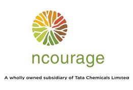 Ncourage Social Enterprise Foundation